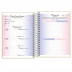 AGENDA SHINE TILIBRA ESPIRAL REF. 354864 MOD. ANO 2025 DOURADA