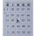 BLOCO P/ BINGO JORNAL C/100FLS TAMOIO S16-30 REF. 6031