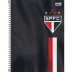 CADERNO 1 MATERIA CPD SAO PAULO 96FLS MOD. CAPA 3