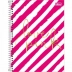 CADERNO 10 MATERIAS CPD LOVE PINK