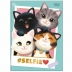 CADERNO BROCHURA PEQUENO CPD 80FLS CAT REF. 350630 CAPA SELFIE