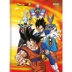 CADERNO BROCHURA PEQUENO CPD 80FLS DRAGON BALL CAPA LARANJA