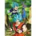 CADERNO BROCHURA PEQUENO CPD 80FLS DRAGON BALL CAPA VERDE