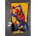 CADERNO BROCHURA PEQUENO CPD 80FLS SPIDER MAN CAPA CINZA