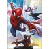 CADERNO BROCHURA PEQUENO CPD 80FLS SPIDER MAN CAPA INTEGRANTES MOD. 1