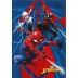 CADERNO BROCHURA PEQUENO CPD 80FLS SPIDER MAN CAPA MODELO 1