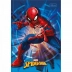 CADERNO BROCHURA PEQUENO CPD 80FLS SPIDER MAN CAPA MODELO 6