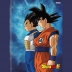 CADERNO BROCHURAO CPD 80FLS DRAGON BALL CAPA MODELO 2