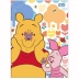 CADERNO BROCHURAO CPD 80FLS POOH CAPA HUNNY