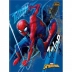 CADERNO BROCHURAO CPD 80FLS SPIDER MAN CAPA MODELO 3