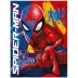 CADERNO BROCHURAO CPD 80FLS SPIDER MAN CAPA MODELO4