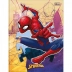 CADERNO BROCHURAO CPD 80FLS SPIDER MAN CAPA SPIDER AMARELO